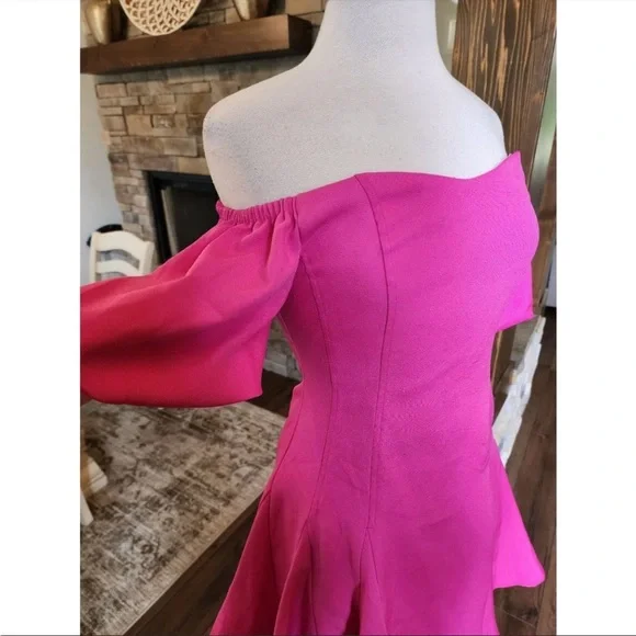 Hot Pink Off the Shoulder Barbiecore Mini Dress
Fit & Flare Boutique - Picture 3 of 6